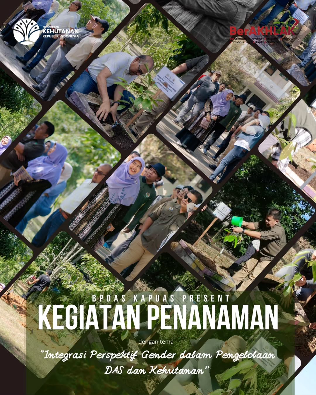Kegiatan Penanaman